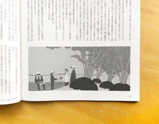 『地上』 １月号（2020）「おひさま菜園」西塚尚子氏著　挿絵　出版：家の光協会