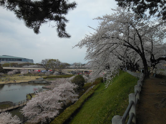 前橋公園