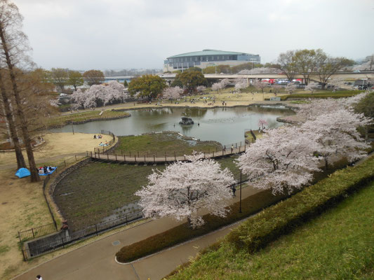 前橋公園