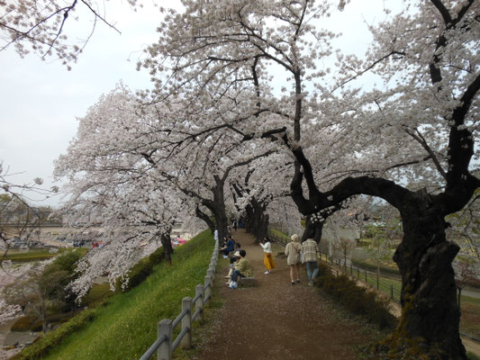 前橋公園