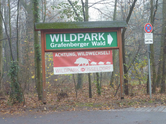 Wild park