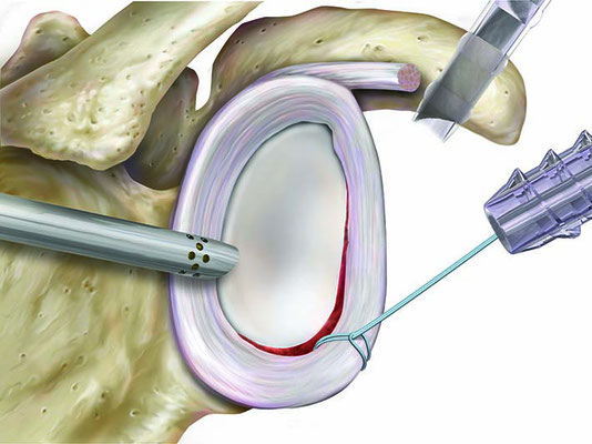 Orthopraxis Schwarzenbek Ariane Hennings Jan Orthopäde Unfallchirurgie Chirurgie Sportmedizin Akupunktur Schwerin Reinbek Lüneburg Hamburg Lübeck 