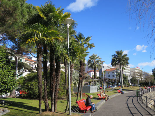 Promenade von Muralto