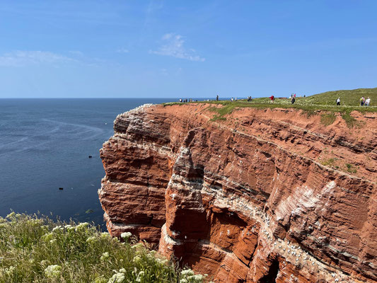 Die leuchtend roten Felsen der Insel bestehen aus dem mittleren Buntsandstein, der Untergrund der Düneninsel besteht aus Muschelkalk und Kreide.
