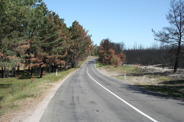 Mit einer Fähre von Klaipeda führt die Straße 50 km auf der Nehrung bis nach Nidden an die russische Grenze.