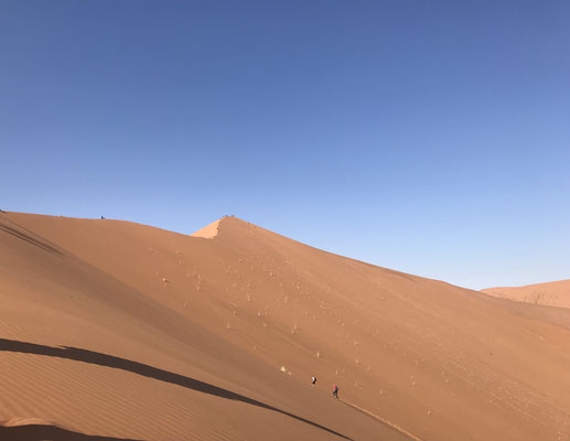 Über unendlich scheinende 30.000 Quadratkilometer erstreckt sich das Namib-Sandmeer, das seit 2013 zum UNESCO Weltnaturerbe gehört.