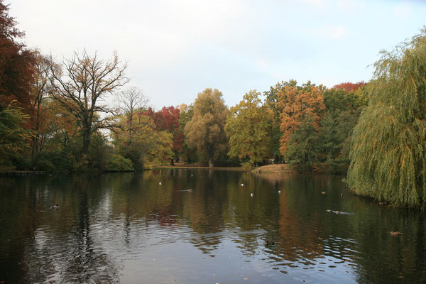 Herbstfarben an der Kanaltrave
