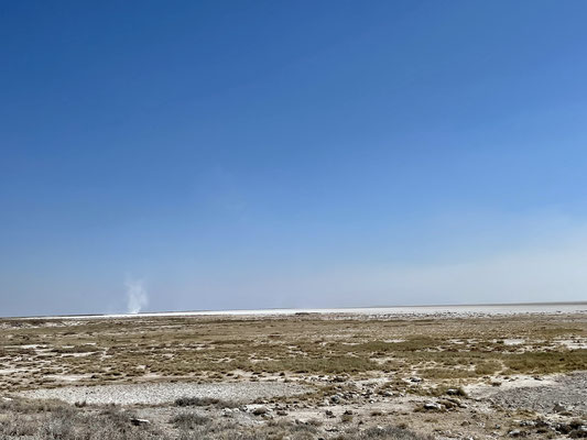 Mit einer Länge von 130 km und einer Breite von 50 km ist die Etosha-Pfanne das markanteste Merkmal des Parks. In der Sprache der Ovambos heißt sie "Großer weißer Platz". Durch Austrocknung eines ehemaligen Sees blieb nur die Salzpfanne zurück.