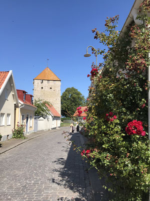 Die kleine Hansestadt Visby liegt an der Westküste Gotlands. Sie gilt als eine der besterhaltensten Hansestädte und ist deshalb seit dem Jahr 1995 auch UNESCO Weltkulturerbe und Partnerstadt von Lübeck.