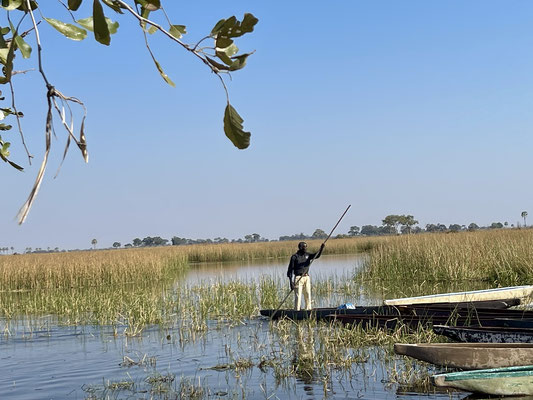 Mit einem Einbaum, dem Mokoro, ist es der authentischte aller Trips ins Okavangodelta. Das Mokoro ist ein kleines schmales Boot, das maximal mit zwei Personen beladen wird. Es ähnelt ein wenig einer Nussschale
