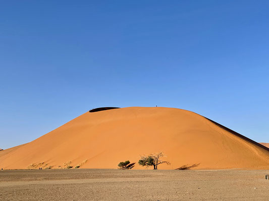 Es ist die Geschichte der ältesten Wüste der Welt, belegen inmitten des Namib Naukluft Parks, dem größten Naturschutzgebiet Afrikas. Entstanden durch Dünen an der Küste, die durch den ständigen Südwestwind landeinwärts getrieben wurden.