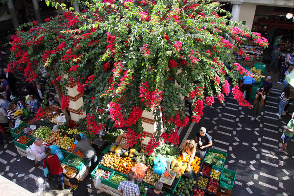 Man beginnt mit dem Rundgang durch die Altstadt durch die 1940 im Art-deco-Stil gebaute Markthalle. Sie ist mit dem vielfältigen Angebot an Blumen und farbenfrohen Obstsorten ein Festival für die Sinne.