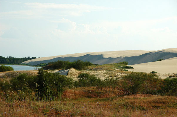 Die litauische Sahara oder Sahara des Ostens