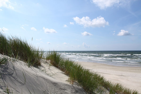 Mit 50 km Länge einer der schönsten Strände Europas steht die Kurische Nehrung unter dem Schutz der UNESCO als Weltnaturerbe.