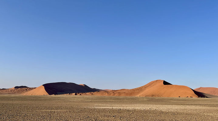Mitten in der Namib Wüste gelegen befinden sich zwei der landschaftlichen Highlights Namibias: das Sossusvlei, Namibias „Markenzeichen“, eine von Sanddünen umgebene Salztonpfanne (vlei) und das Death Vlei.