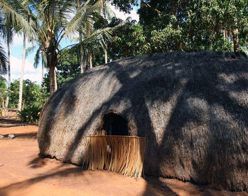 Traditionelle Palmdachhütte