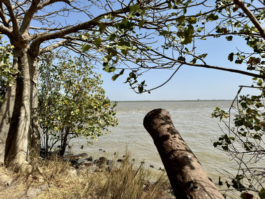 Die kleine, nur etwa 100 m lange Insel war für alle Besatzer ein strategisch wichtiger Punkt in der Mündung des Gambia Flusses und lange Zeit hart umkämpft.