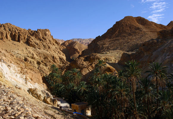 Malerisches Oasenstädtchen Chebika an der Grenze zu Algerien. Chebika ist ein kleines Dorf und wurde bereits zur Römerzeit mit dem Namen Ad Speculum erwähnt. Es diente als sog. Nachrichtenstation der Bewachung des Karawanenweges von Gabes nach Algerien.