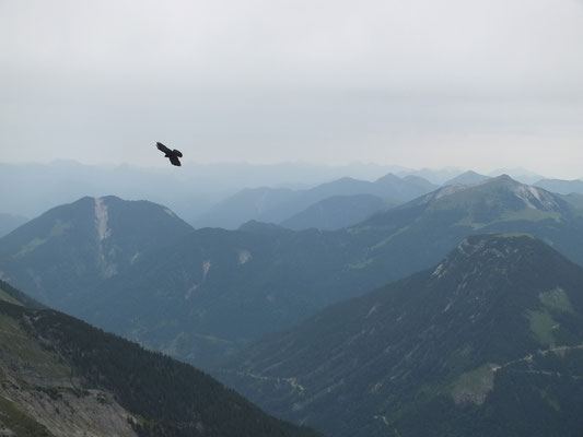 Gipfelansichten (Soiernspitze)