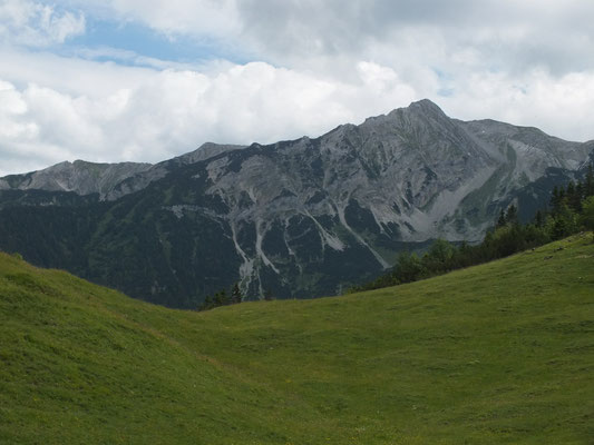 Ausblick vom Forstweg