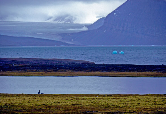 Spitzbergen
