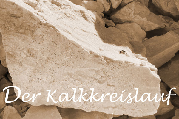 Der natürliche Kalkkreislauf – vom Kalkstein zum Sumpfkalk