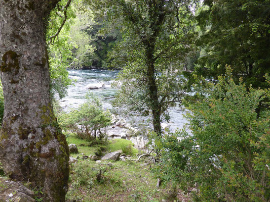 Rivière Liucura à 200m de la cabane