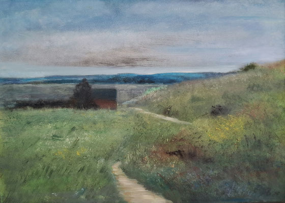 WIESENWEG / 2019 / 42 x 59 / OEL