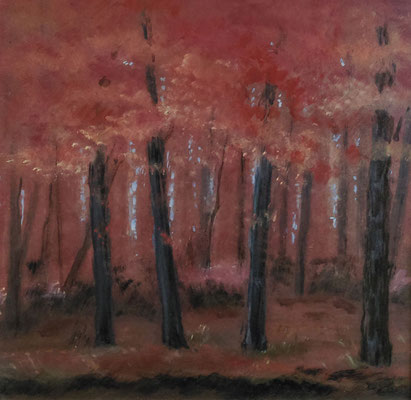 "Kleiner Buchenwald", 2012, 39x40