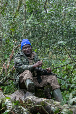 Onze gardien in Kibale Forest