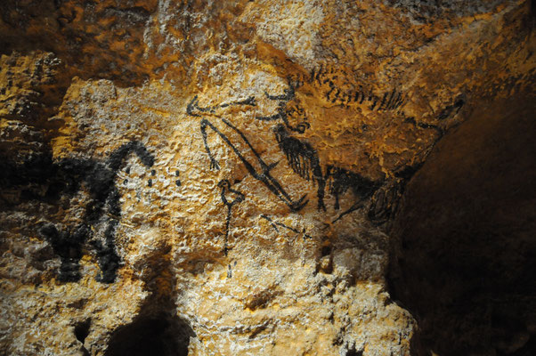 Lascaux IV : la salle aux taureaux (détail)