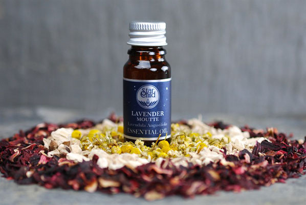 Lavendula angustifolia (Moutte Lavendel) 10ml CHF 20.00