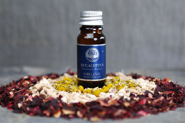 Eucalyptus radiata (Eukalyptus Organic) 10ml CHF 15.00