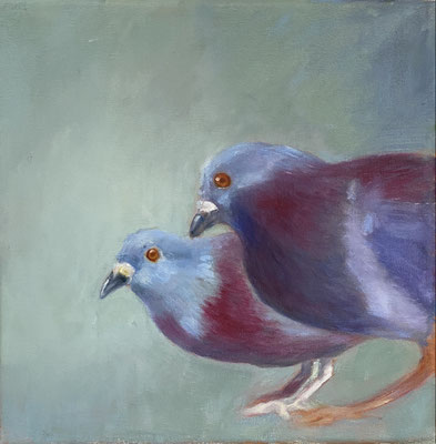 Zwei Tauben | 2025 | Ölfarbe auf Leinwand | 25 x 25 cm