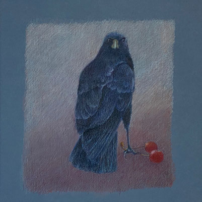 Krähe | 2025 | Farbstift auf Papier | 30 x 30 cm