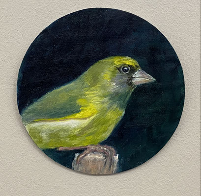 Drünfink | 2026 | Ölfarbe auf Leinwand | Ø 15 cm
