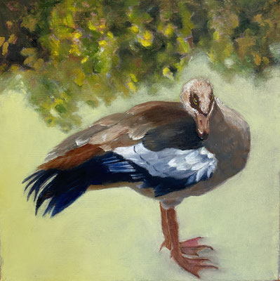 Gans im Grünen | 2025 | Ölfarbe auf Leinwand | 25 x 25 cm