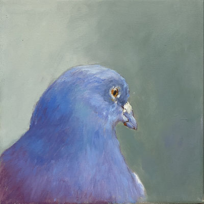 Taube | 2025 | Ölfarbe auf Leinwand | 25 x 25 cm