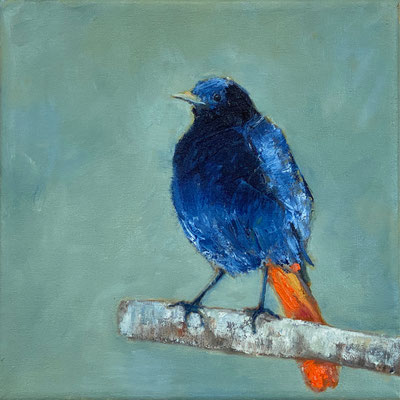 Rotschwänzchen | 2025 | Ölfarbe auf Leinwand | 25 x 25 cm
