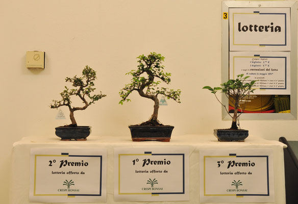 Premi lotteria offerti da Crespi Bonsai