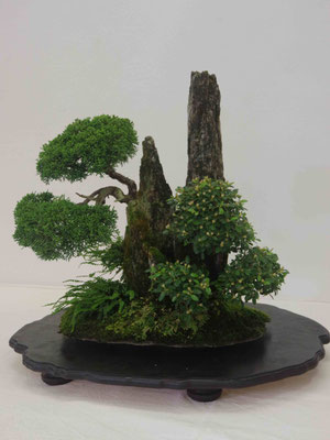 Ishizuchi - Franco Bergamini