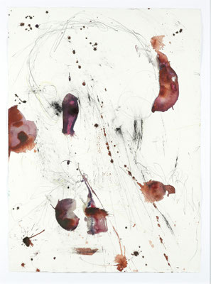 Hubert Scheibl, Claviceps purpurea, 2011/12, Aquarell