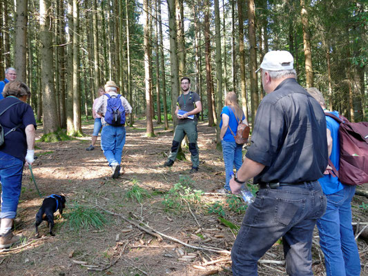 Im Wald kennt sich Martin Graf bestens aus.