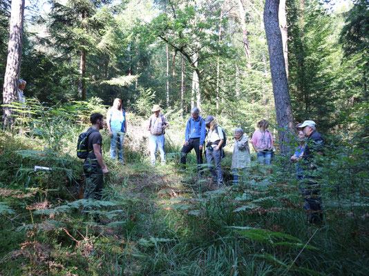 An einem Bodenprofil wird die Geologie der Region erklärt. Foto: Martin Sigl