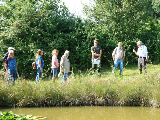 Am Hotspot des Dunklen Wiesenknopf-Ameisenbläulings. Foto: Martin Sigl