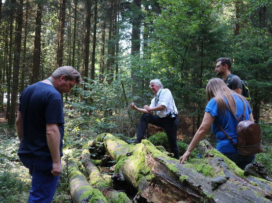 Totholz ist ein Lebensraum für viele Arten. Foto: Martin Sigl