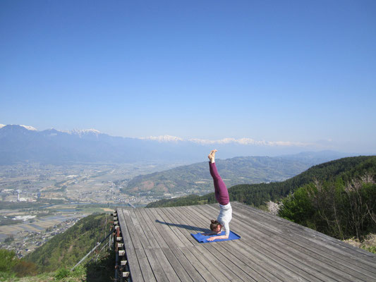 Pincha Mayurasana