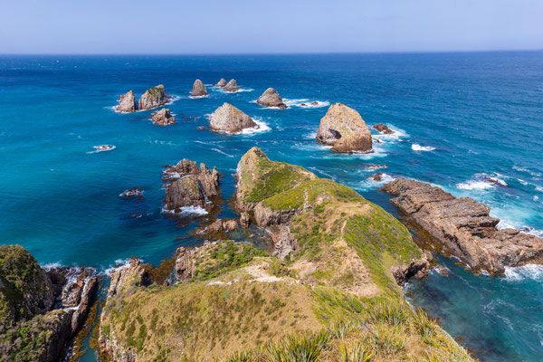 Nugget point Nouv Zéland