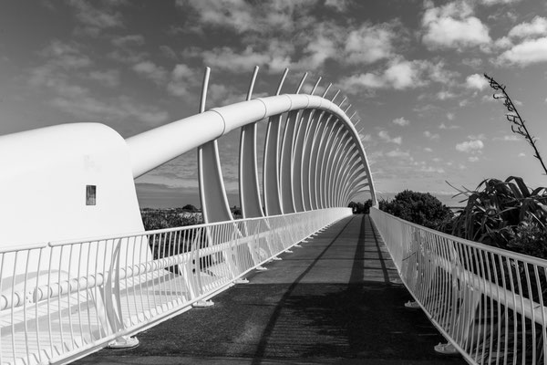 Te Rewa Bridge Nouv Zéland