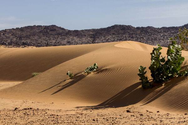 Adrar Mauritanie